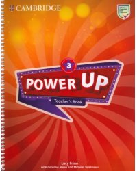 Power Up. Level 3. Teacher's Book