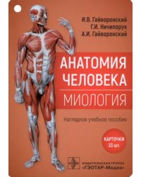 Анатомия человека. Миология. Комплект карточек. Наглядное учебное пособие