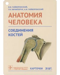 Анатомия человека. Соединения костей. Карточки. Наглядное учебное пособие