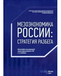 Мезоэкономика России. Стратегия разбега