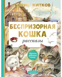 Беспризорная кошка