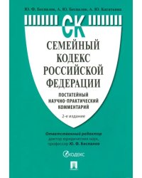 Семейный кодекс Российской Федерации. Постатейный научно-практический комментарий