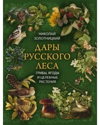 Дары русского леса. Грибы, ягоды и целительные растения