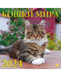 2024 Календарь Кошки мира