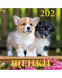 2024 Календарь Щенки