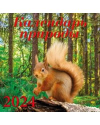 2024 Календарь природы