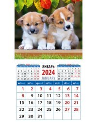 2024 Календарь Забавные щенки корги