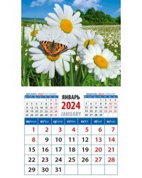 2024 Календарь Ромашки с бабочкой