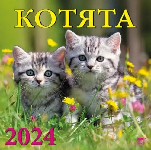 2024 Календарь Котята