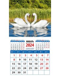 2024 Календарь Лебединая пара