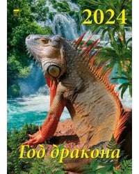 2024 Календарь Год дракона