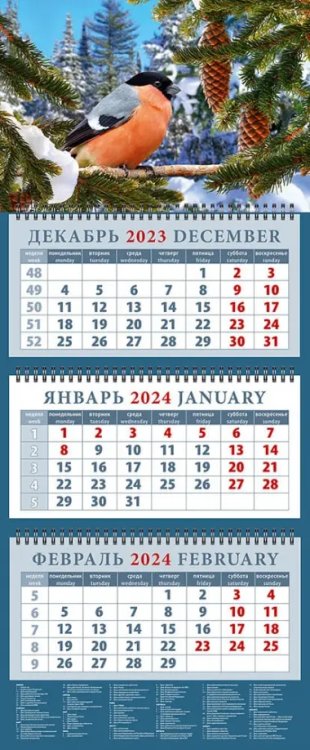 Календарь на 2024 год Снегирь