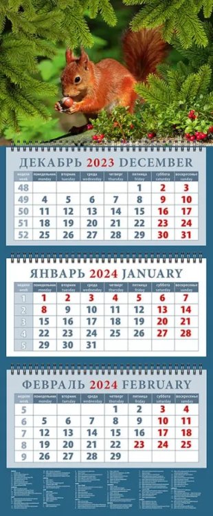 Календарь на 2024 год Белка с орехом