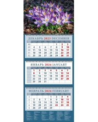 Календарь на 2024 год Весенние крокусы
