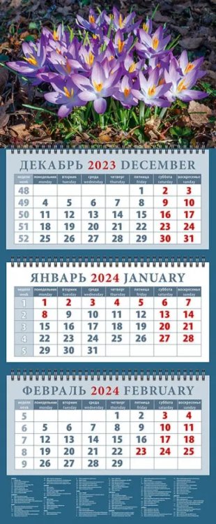 Календарь на 2024 год Весенние крокусы