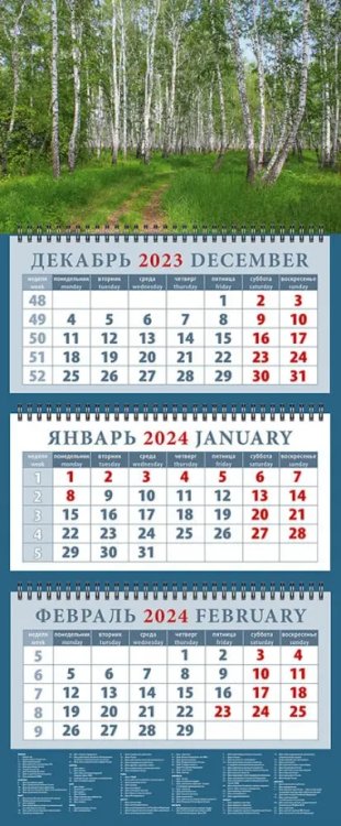 Календарь на 2024 год Березовая роща