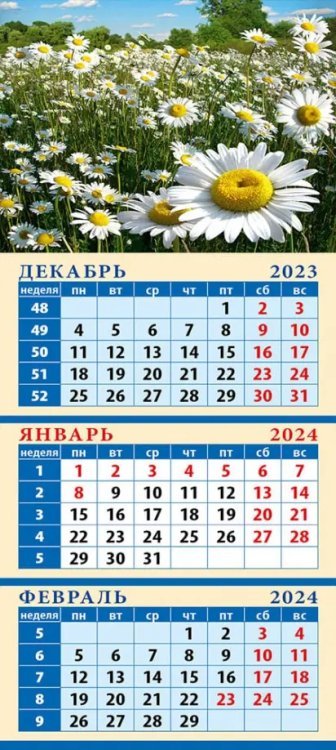 Календарь на 2024 год Ромашки