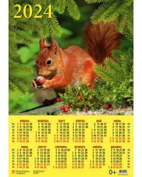 Календарь на 2024 год Белка с орехом