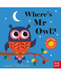 Where's Mr Owl?