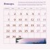 Мудрость и красота. Картины и афоризмы Николая Рериха. Календарь настенный на 2024 год