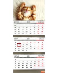Календарь квартальный на 2024 год Котята. Сон