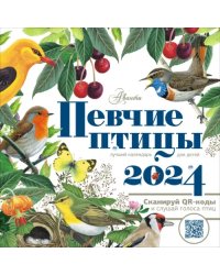 2024. Календарь Певчие птицы с голосами