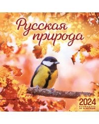 Русская природа. Календарь настенный на 16 месяцев на 2024 год