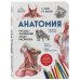 Анатомия. Русско-латинский атлас-раскраска