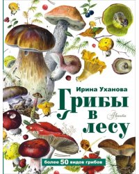 Грибы в лесу