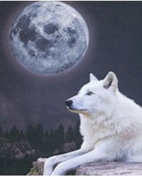 Алмазная мозаика со светящимися стразами Волк