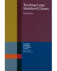 Teaching Large Multilevel Classes