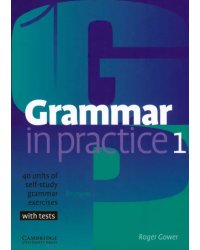 Grammar in Practice. Level 1. Beginner
