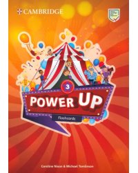 Power Up. Level 3. Flashcards. Pack of 175