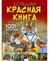 Большая красная книга. 1001 фотография