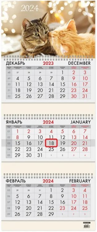 Календарь квартальный на 2024 год Милые кошки