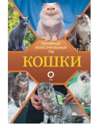 Кошки