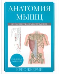 Анатомия мышц. Иллюстрированный справочник