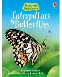 Caterpillars and Butterflies