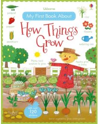 My First Book About How Things Grow