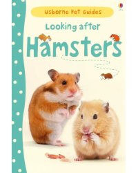 Looking after Hamsters