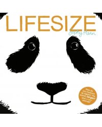 Lifesize