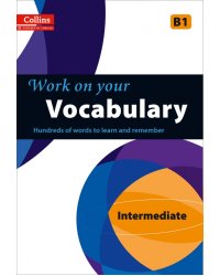 Work on Your Vocabulary. B1