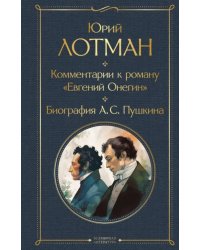 Комментарии к роману «Евгений Онегин». Биография А. С. Пушкина