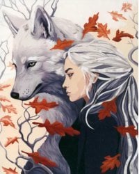 Картина по номерам с серебряной краской Девушка с волком