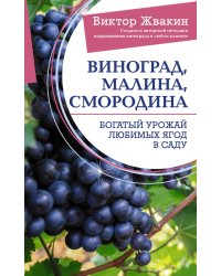 Виноград, малина, смородина. Богатый урожай любимых ягод в саду