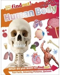 Human Body