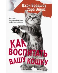 Как воспитать вашу кошку