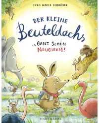 Der kleine Beuteldachs. Ganz schon neugierig