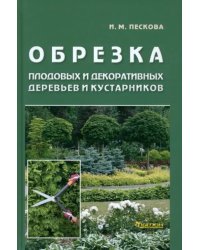 Обрезка плодовых и декоративных деревьев и кустарников