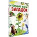 Большая книга загадок